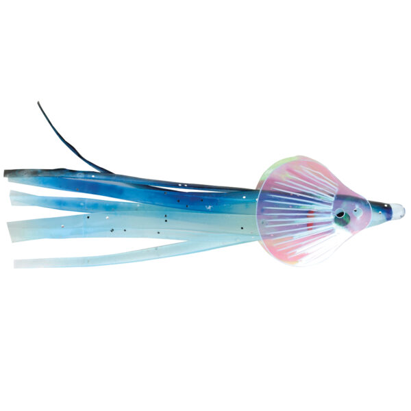 Geisha Squids